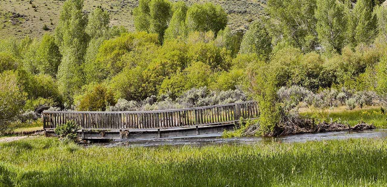 Wooden walking bridge over a creek